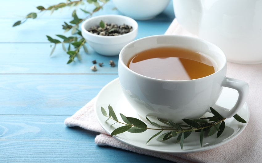 benefits of eucalyptus tea